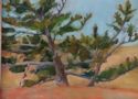 Dune Tree (oil, 9 x 12)