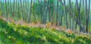 Summer Woodland (acrylic, 12 x 24)